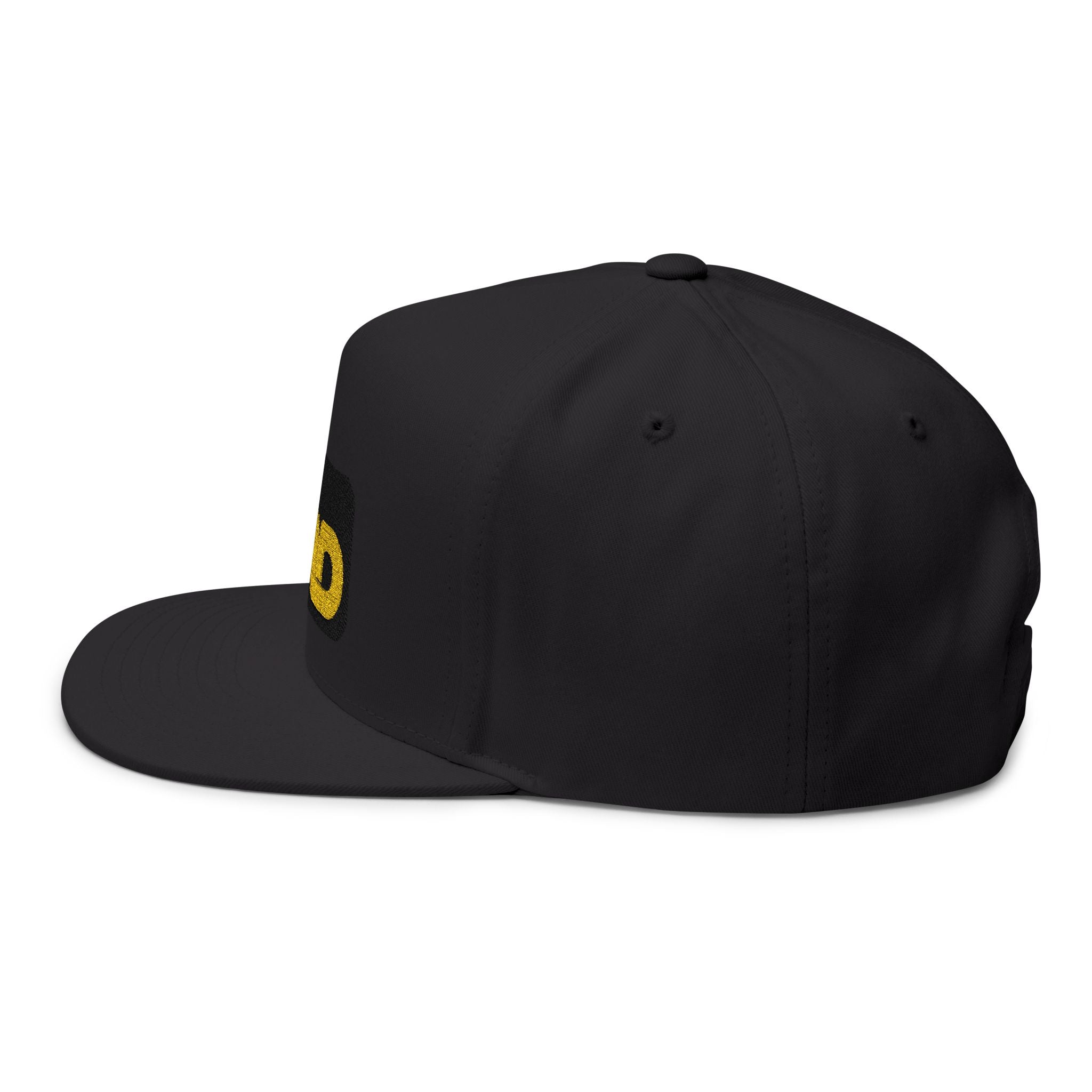 Embroidered VLAD Flat Bill Cap — Retro Bold Logo Snapback